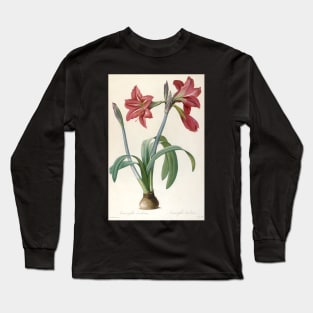 Amaryllis Brasiliensis (Brazilian Amaryllis) by Pierre-Joseph Redoute Long Sleeve T-Shirt